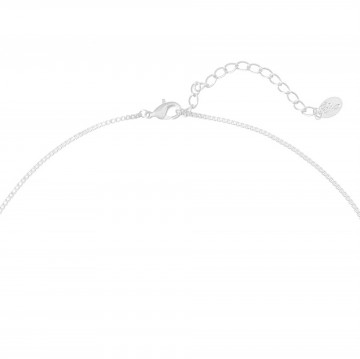 Karabijnsluiting zilverkleurig