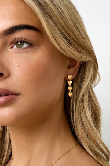 Luxe stainless steel oorhangers