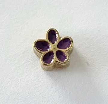 Memory locket charm goudkleurig paars