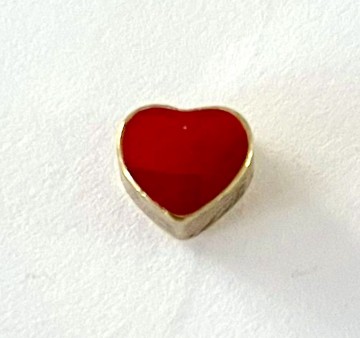 Memory locket charm rood goudkleurig