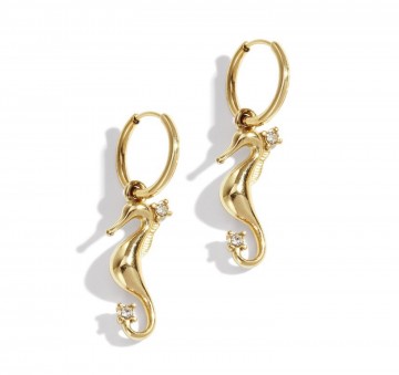 Oorbellen zeepaardjes