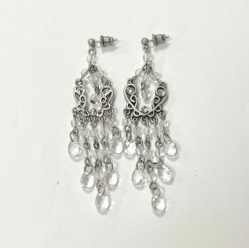 Oorhangers zilverkleurig transparant