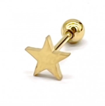 Oorpiercing   stainless steel   goudkleurig