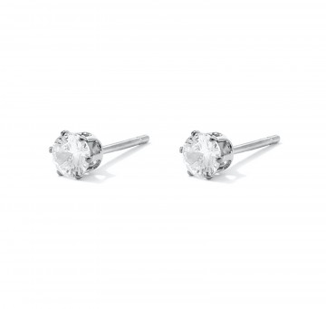 Oorstekers basic stainless steel