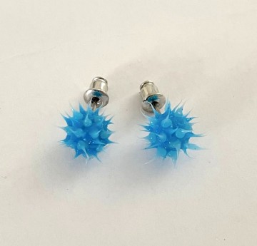 Oorstekers blauw