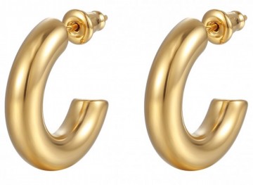 Stainless steel oorbellen   goudkleurig