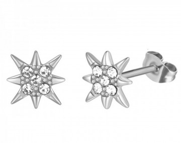 Stainless steel oorbellen   studs   ster