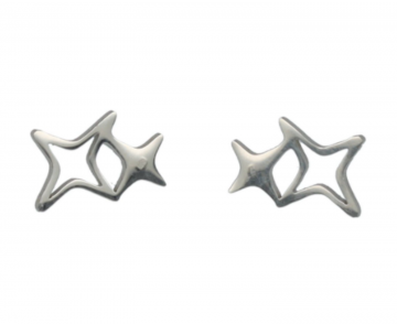 Stainless steel oorbellen zilverkleurig