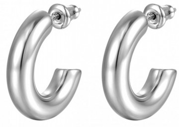 Stainless steel oorringen zilverkleurig
